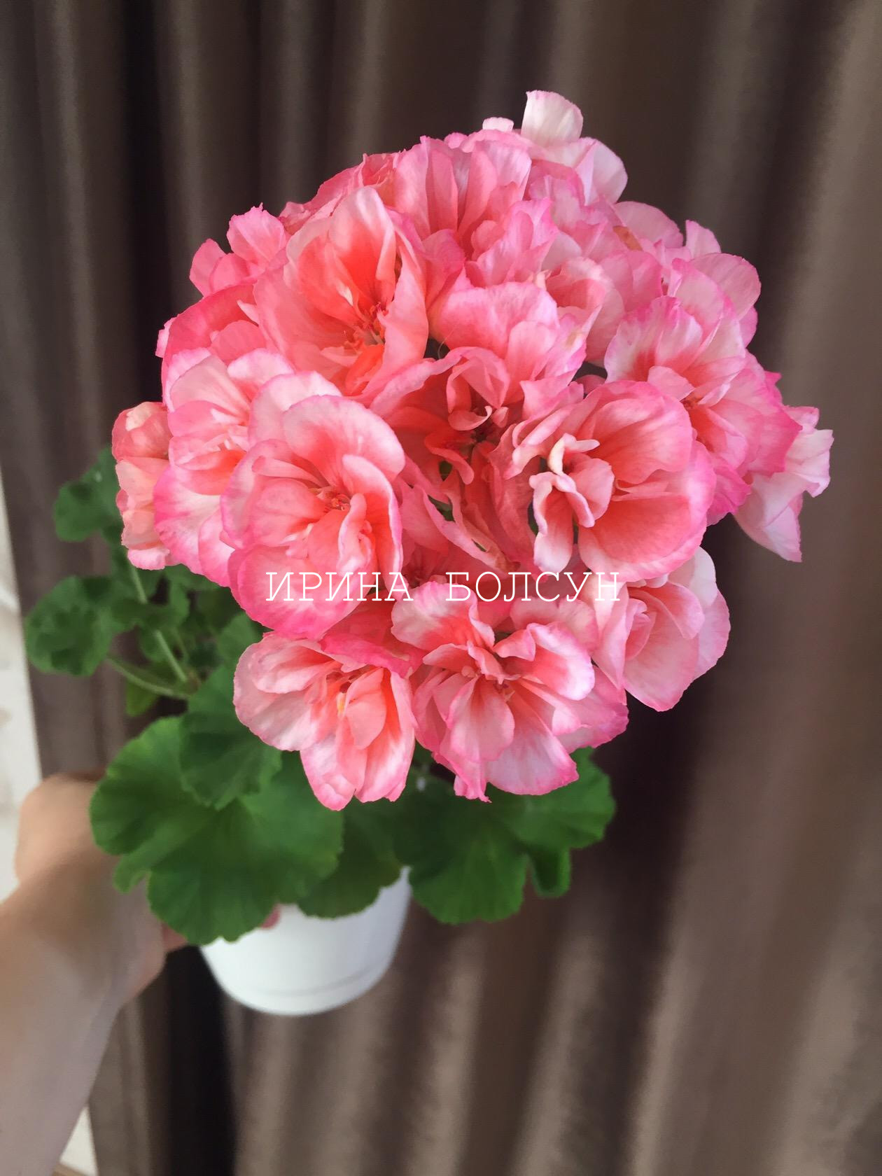 Rus porno onlayn korporativ partiyada Yalangoch Evelina Bledans jurnalda